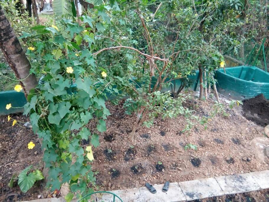 Bhitey Homestay Simantapally / Shantiniketan Zewnętrze zdjęcie
