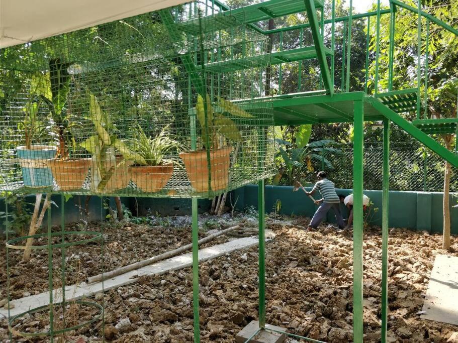 Bhitey Homestay Simantapally / Shantiniketan Zewnętrze zdjęcie